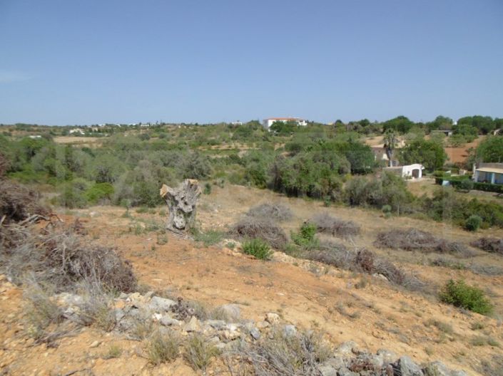 Image No.2-Terrain à vendre à Silves