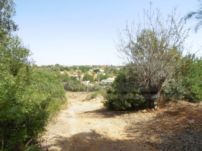 Image No.6-Terrain à vendre à Silves