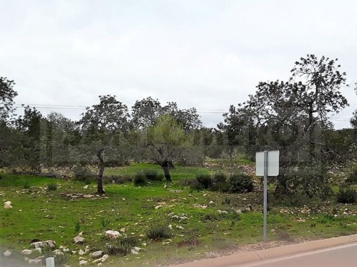 Image No.2-Terrain à vendre à Loule