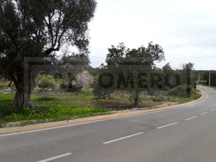 Image No.3-Terrain à vendre à Loule