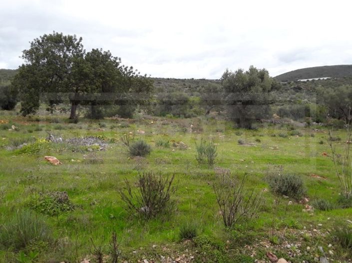 Image No.4-Terrain à vendre à Loule