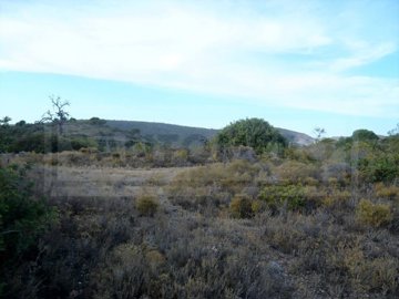 idd4287c00-0000-0500-0000-0000041731e1