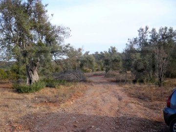 idd4287c00-0000-0500-0000-0000041731e3