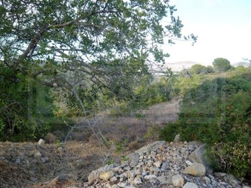 idd4287c00-0000-0500-0000-0000041731e4