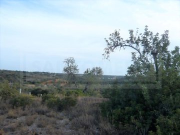 idd4287c00-0000-0500-0000-0000041731e6