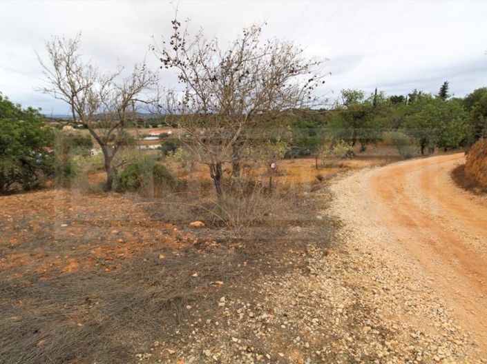 Image No.2-Plot for sale