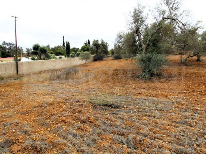 Image No.3-Plot for sale