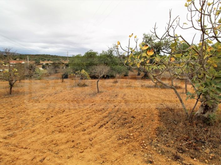 Image No.5-Plot for sale