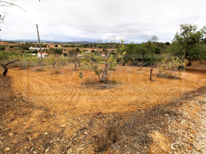 Image No.6-Plot for sale