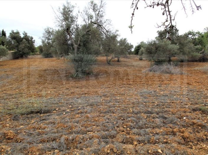 Image No.7-Plot for sale