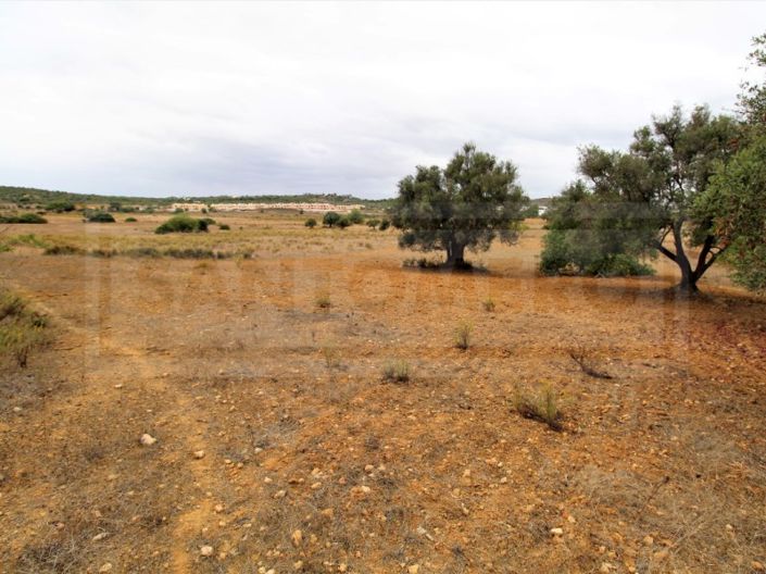 Image No.2-Terrain à vendre à Silves