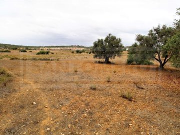 id3d5a9700-0000-0500-0000-00000527581a