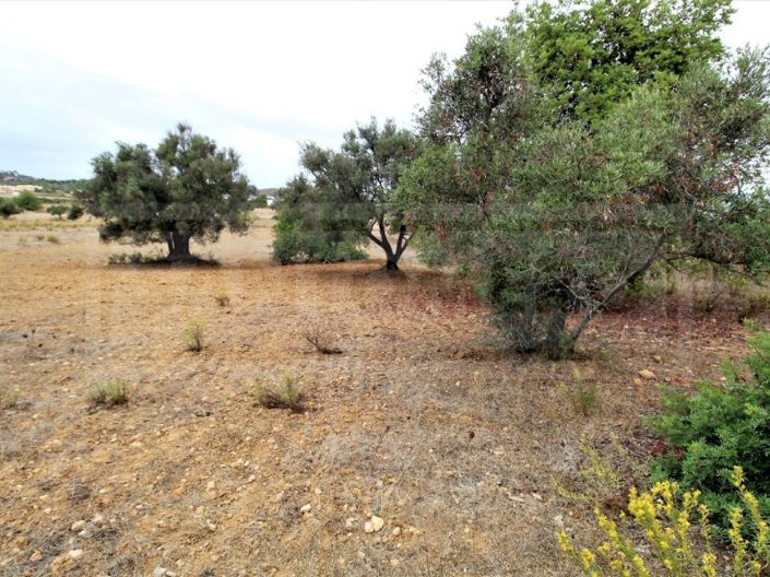 Image No.3-Plot for sale