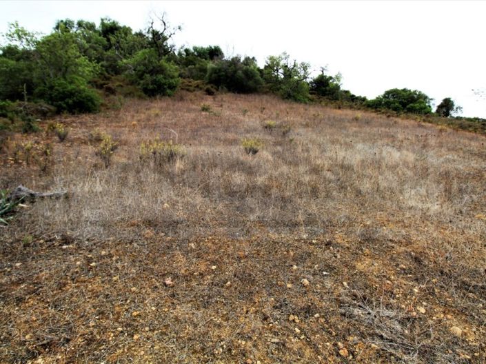 Image No.5-Plot for sale