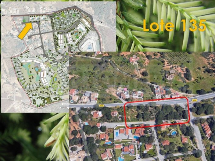 Image No.2-Terrain à vendre à Albufeira