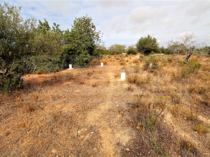 Image No.2-Plot for sale