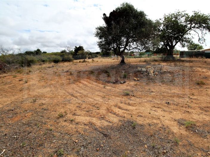 Image No.4-Plot for sale