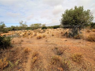 id036fbd00-0000-0500-0000-0000126db247