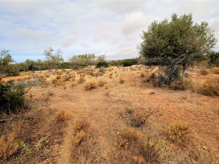 Image No.5-Plot for sale