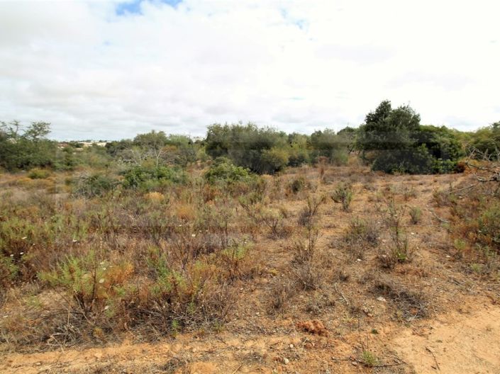 Image No.8-Plot for sale