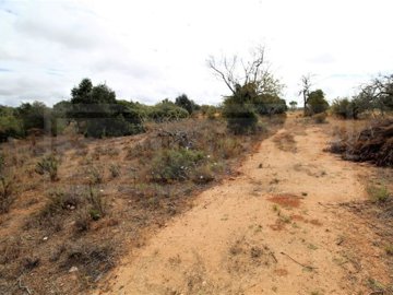 id036fbd00-0000-0500-0000-0000126db24b