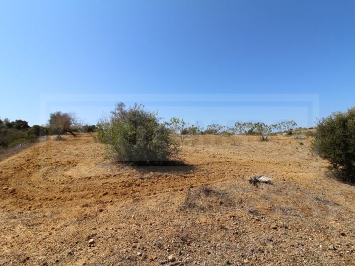 Image No.10-Terrain à vendre à Silves