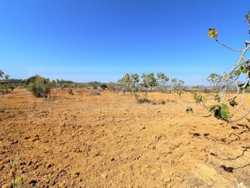 id0259c700-0000-0500-0000-0000073561e3