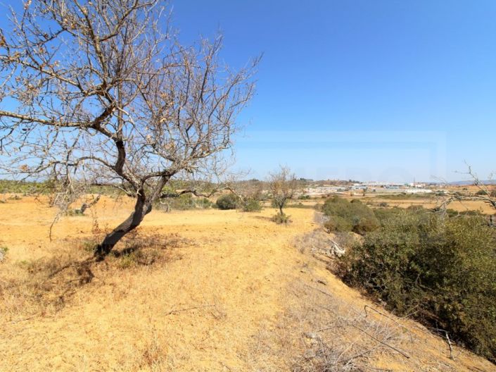 Image No.7-Terrain à vendre à Silves