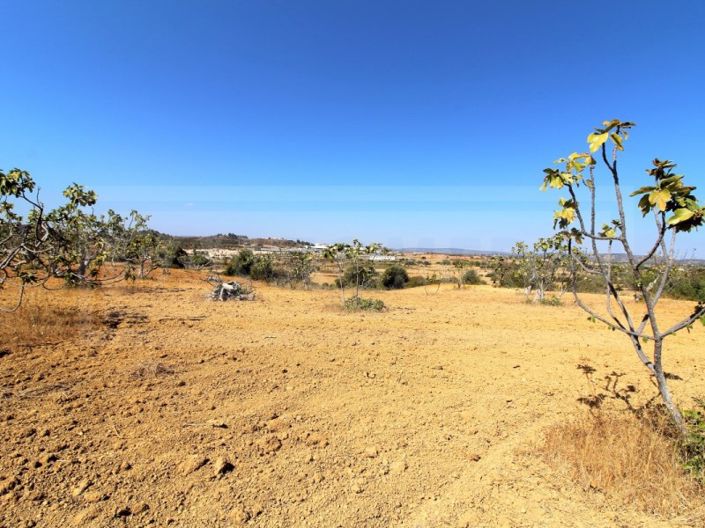 Image No.8-Terrain à vendre à Silves