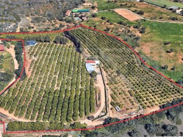 1 - Silves, Maison
