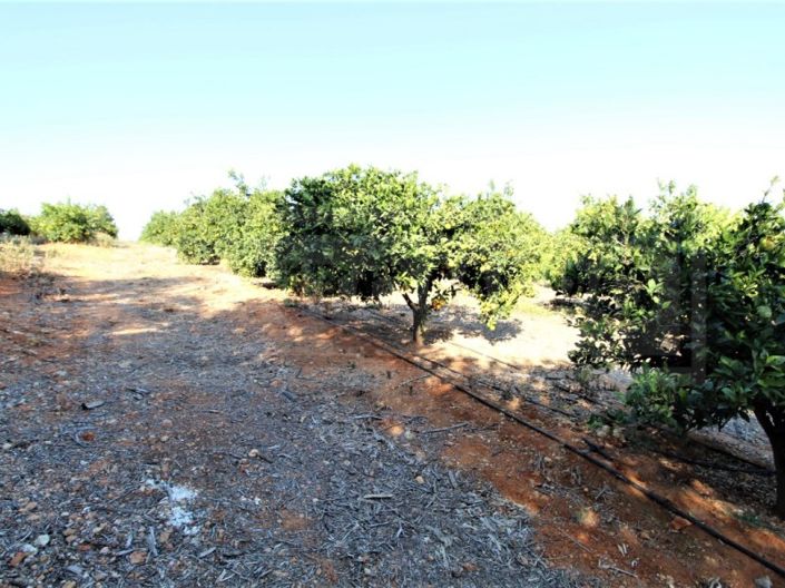 Image No.10-House for sale