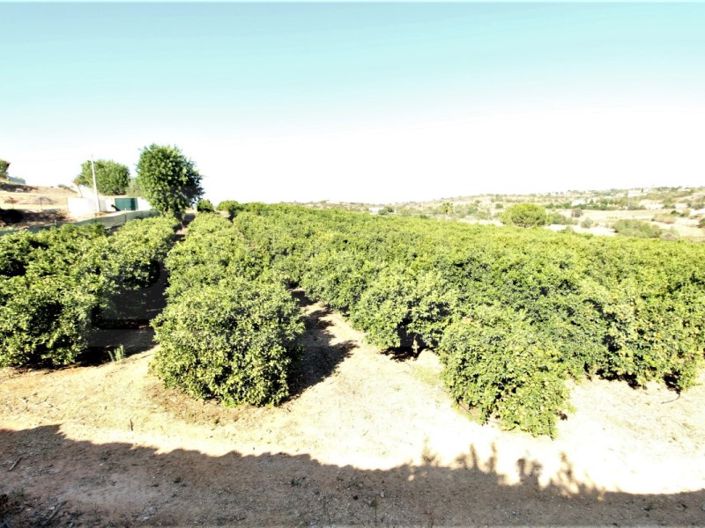 Image No.13-House for sale