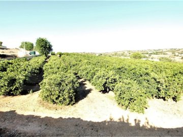 id5292dc00-0000-0500-0000-000016729975