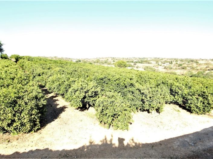 Image No.14-House for sale