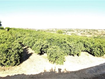 id5292dc00-0000-0500-0000-000016729978