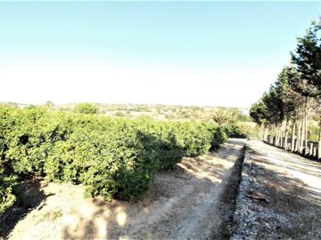 id5292dc00-0000-0500-0000-00001672997b