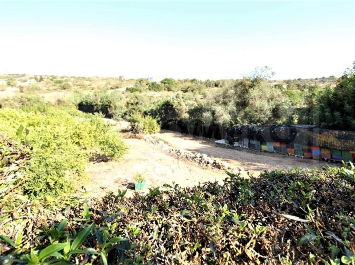 Image No.16-House for sale