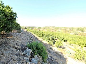 id5292dc00-0000-0500-0000-00001672996a