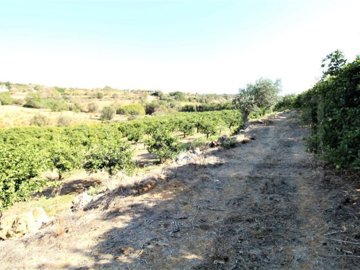 id5292dc00-0000-0500-0000-00001672996b