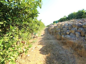 id5292dc00-0000-0500-0000-00001672996c