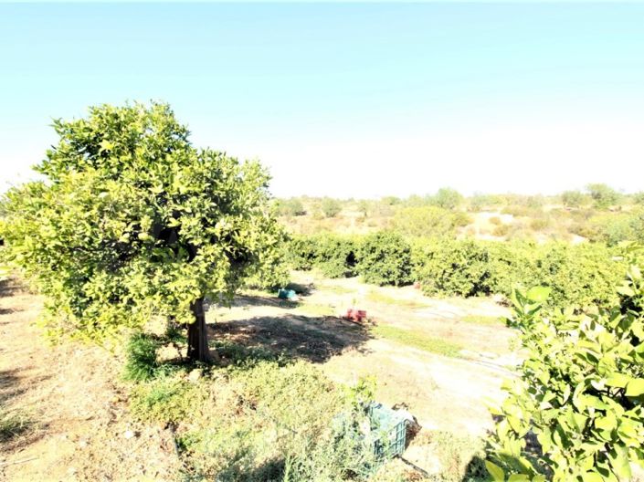 Image No.6-House for sale