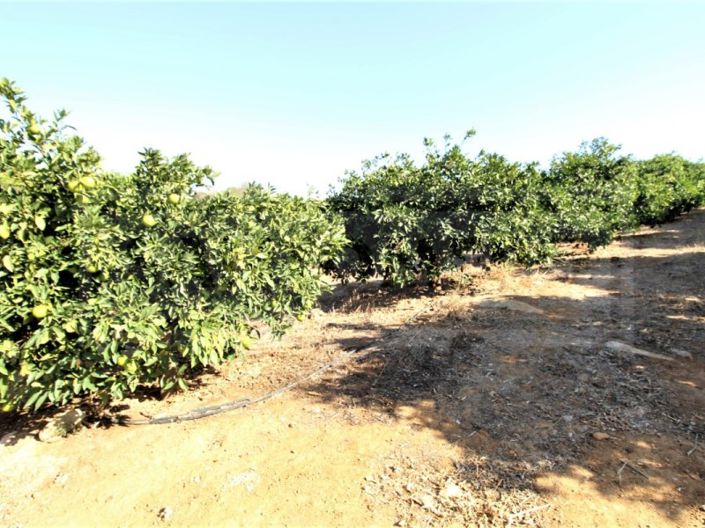 Image No.7-House for sale