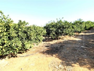 id5292dc00-0000-0500-0000-00001672996e