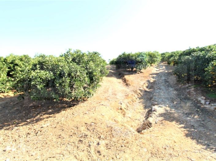 Image No.8-House for sale