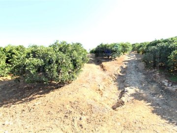 id5292dc00-0000-0500-0000-00001672996f