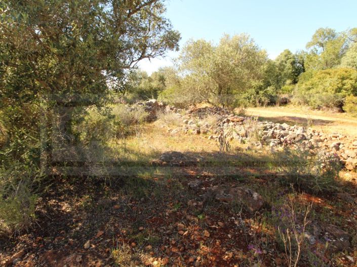 Image No.10-Plot for sale