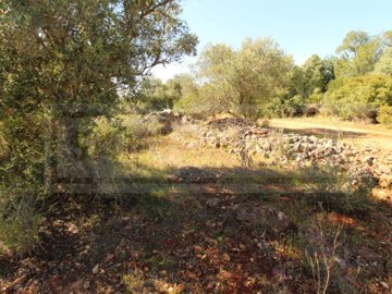 ide3b74101-0000-0500-0000-00000e419d00