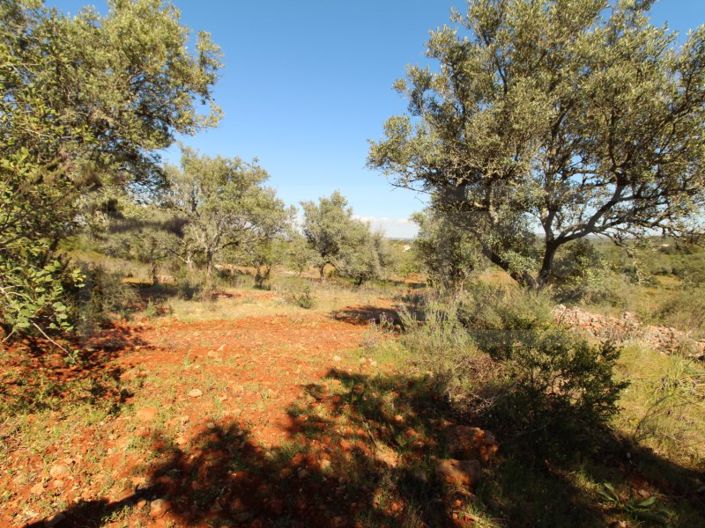 Image No.11-Plot for sale