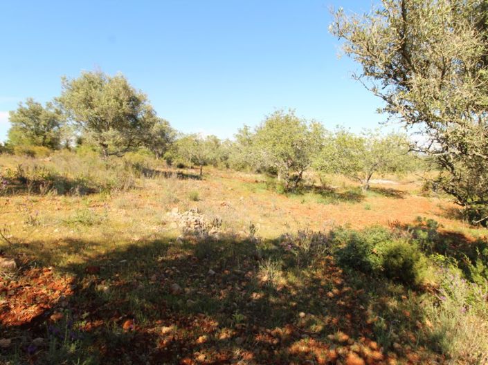 Image No.4-Terrain à vendre à Silves