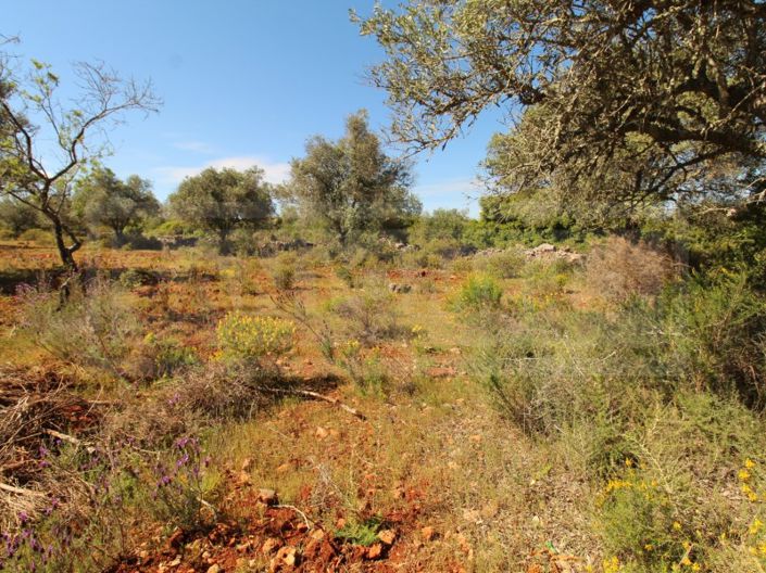 Image No.7-Plot for sale